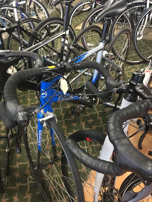 Good Guys Cycling Picture 6