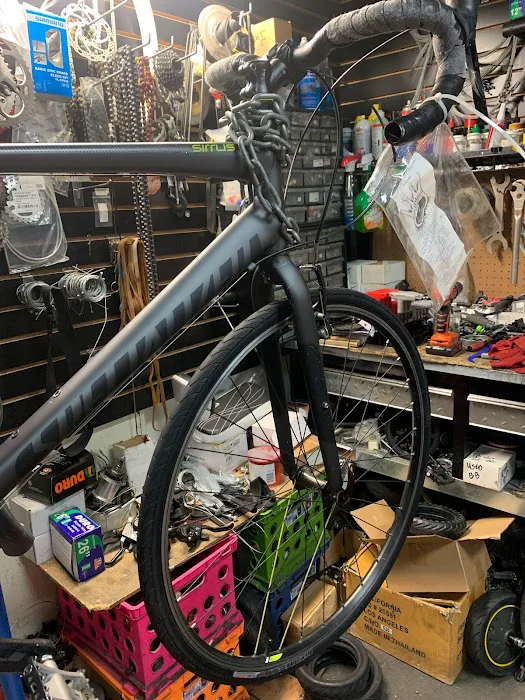 Bike Revolution Bike Shop Picture 3