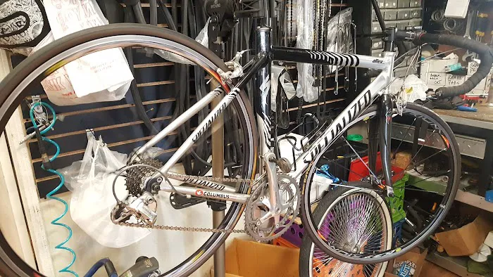 Bike Revolution Bike Shop Picture 9