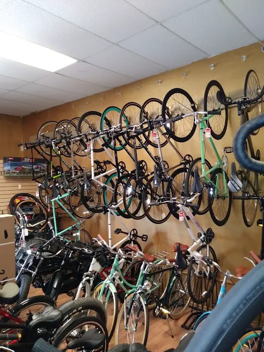 Bike Revolution Bike Shop Picture 6