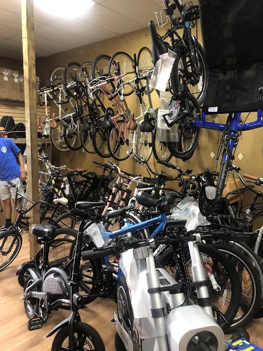 Bike Revolution Bike Shop Picture 8