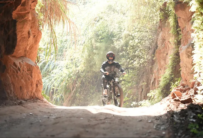 EcoE bikes Picture 3