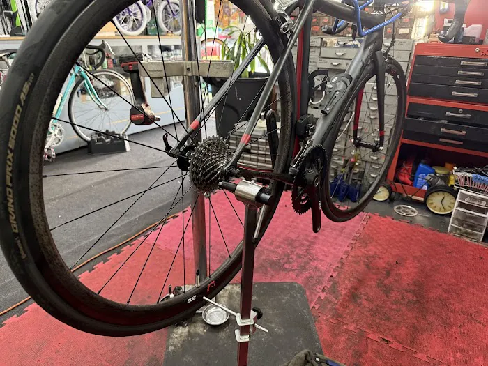 HD BIKE SHOP Picture 4