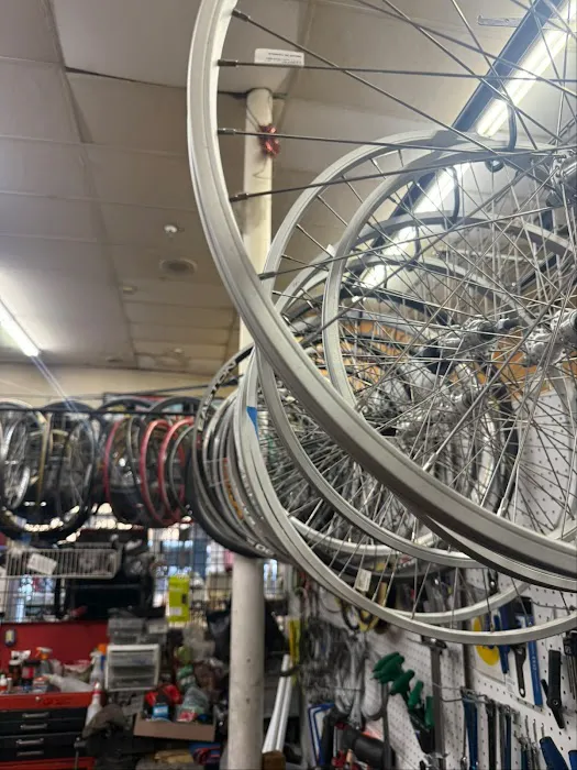 HD BIKE SHOP Picture 5