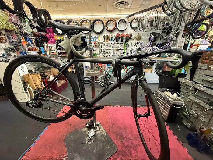 HD BIKE SHOP Picture 3
