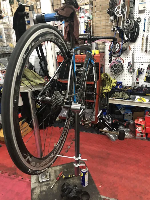 HD BIKE SHOP Picture 8