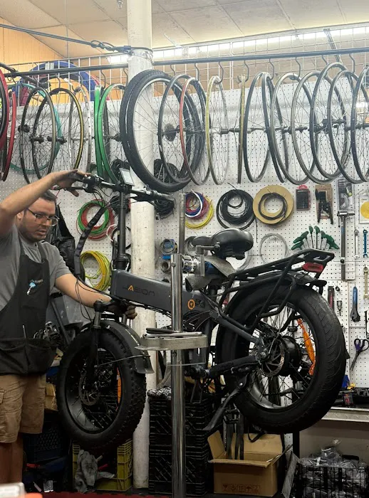 HD BIKE SHOP Picture 10