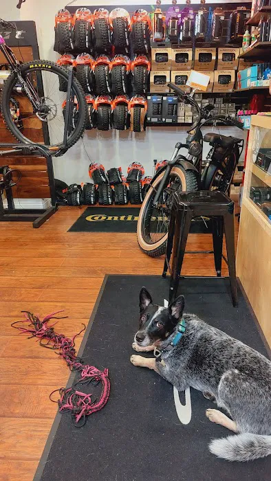 Trailhead Bike Shop Picture 6