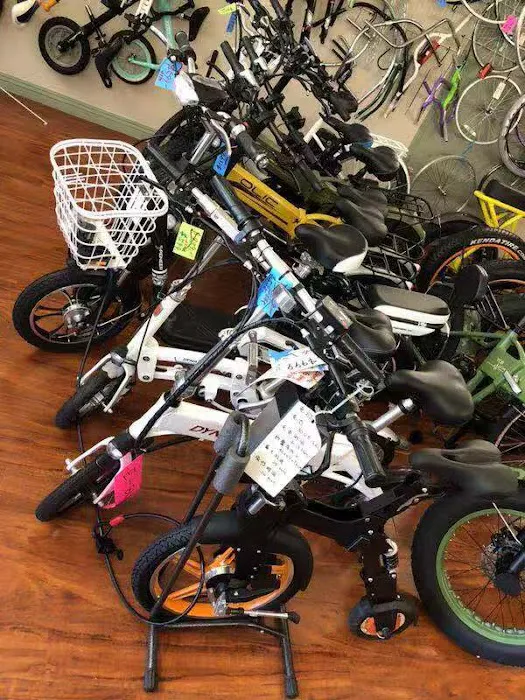Easy Bicycle Picture 2