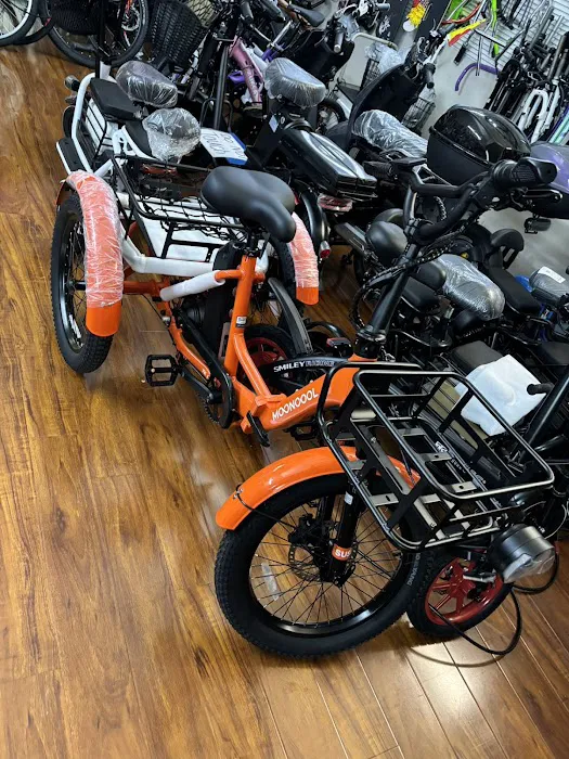 Easy Bicycle Picture 6