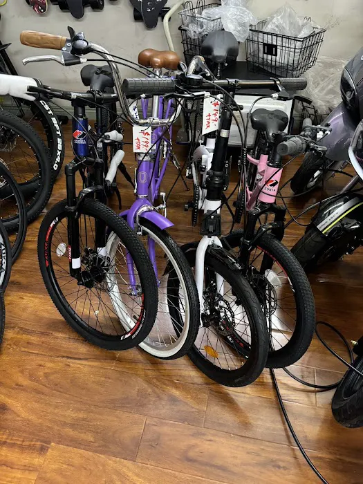 Easy Bicycle Picture 8