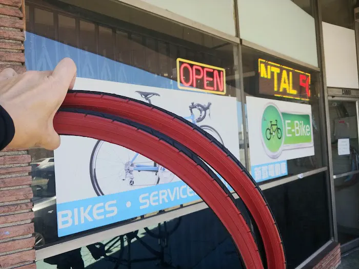 Easy Bicycle Picture 10
