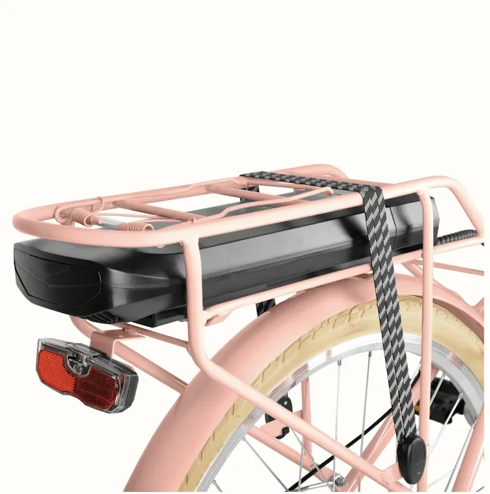 Los Angeles Electric Bikes Sales and Service Picture 3