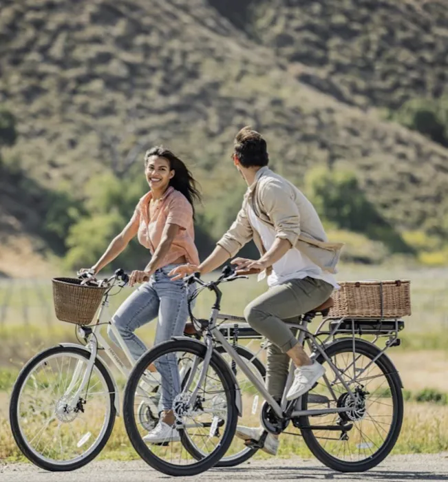 Los Angeles Electric Bikes Sales and Service Picture 5
