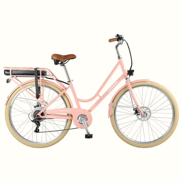 Los Angeles Electric Bikes Sales and Service Picture 10