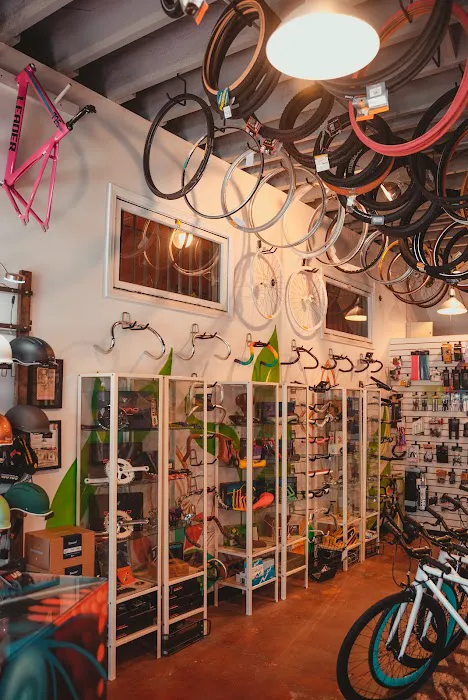 Sunny Cycles /LA Brakeless Picture 3