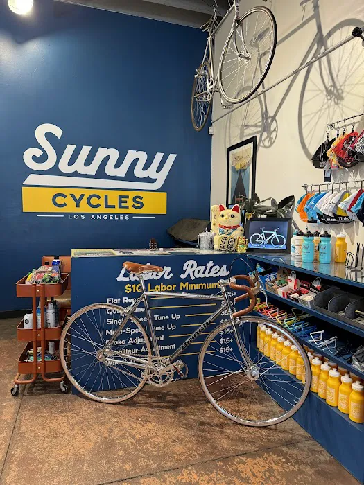 Sunny Cycles /LA Brakeless Picture 9