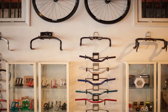 Sunny Cycles /LA Brakeless Picture 10
