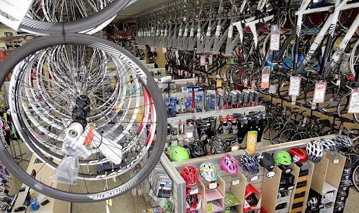 Wheel World Bicycles Picture 2