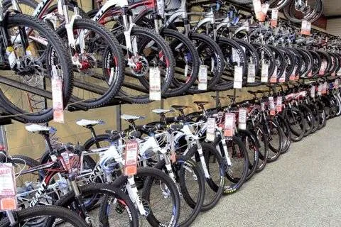 Wheel World Bicycles Picture 8