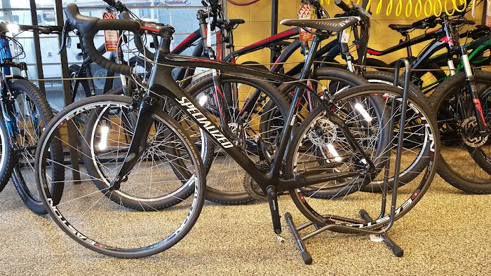 Wheel World Bicycles Picture 6