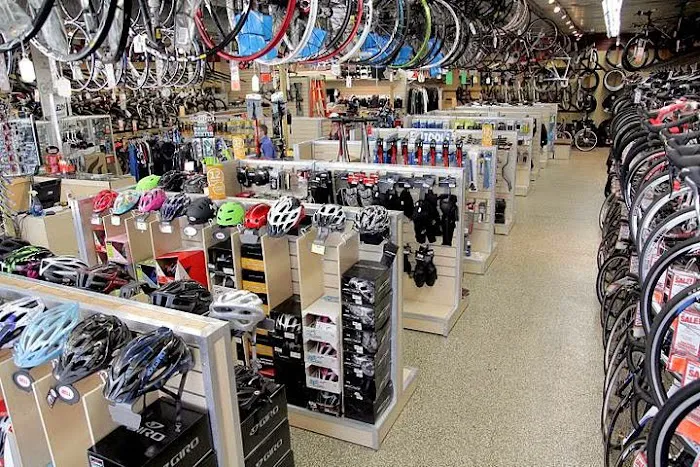 Wheel World Bicycles Picture 4