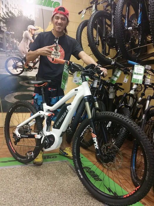 Wheel World Bicycles Picture 9