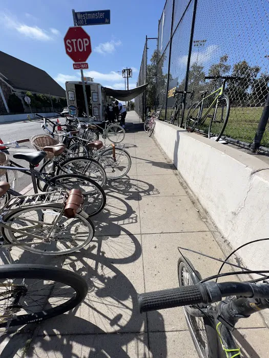 The Bicycle Whisperer Picture 2