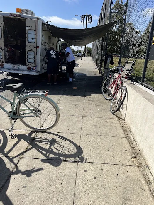 The Bicycle Whisperer Picture 5