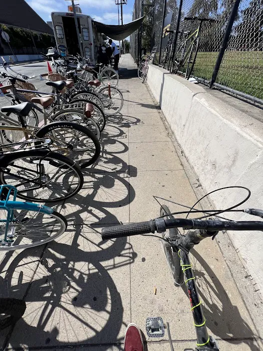 The Bicycle Whisperer Picture 3