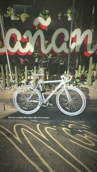 Solé Bicycles Picture 8