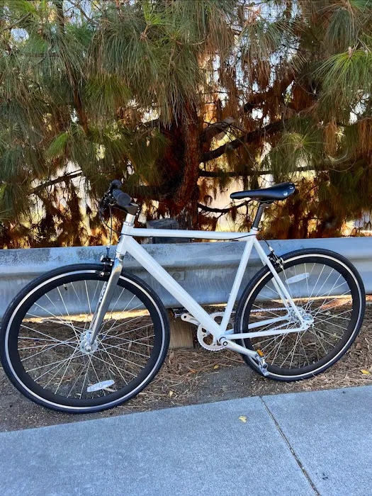 Solé Bicycles Picture 6
