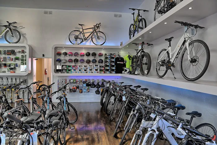 Bike Attack Electric Picture 4