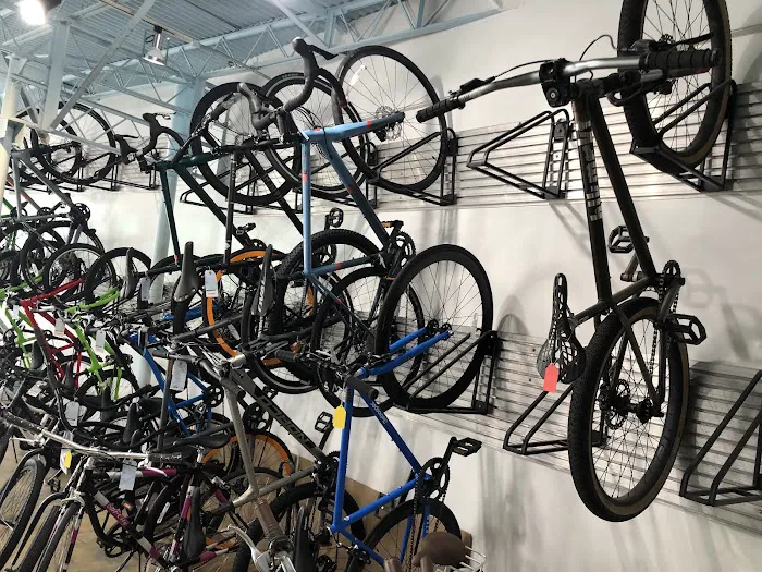 The Bike Shop Santa Monica Picture 6