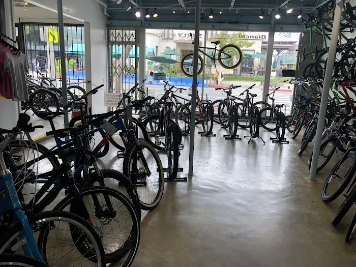 The Bike Shop Santa Monica Picture 8