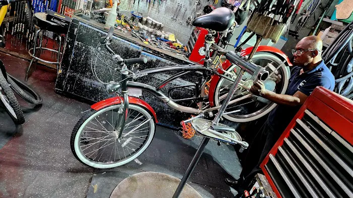 Bicycle Ambulance Picture 10
