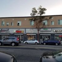 Godspeed Cyclery ico