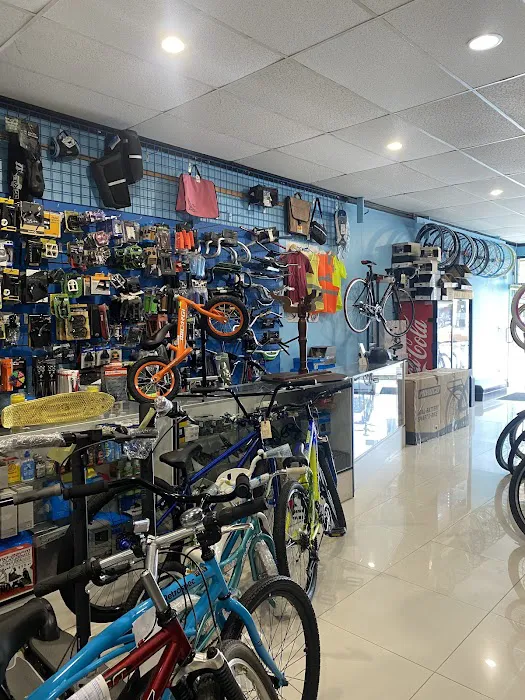 L.A. GOLDEN BICYCLE SHOP Picture 6