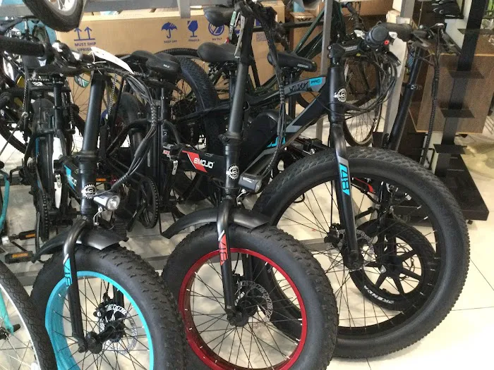L.A. GOLDEN BICYCLE SHOP Picture 7
