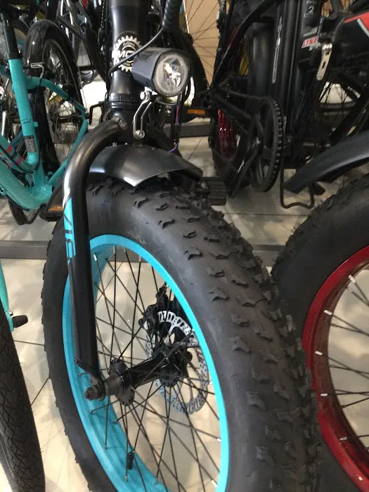 L.A. GOLDEN BICYCLE SHOP Picture 10