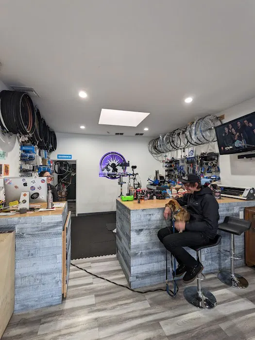 LA Cyclery Picture 2