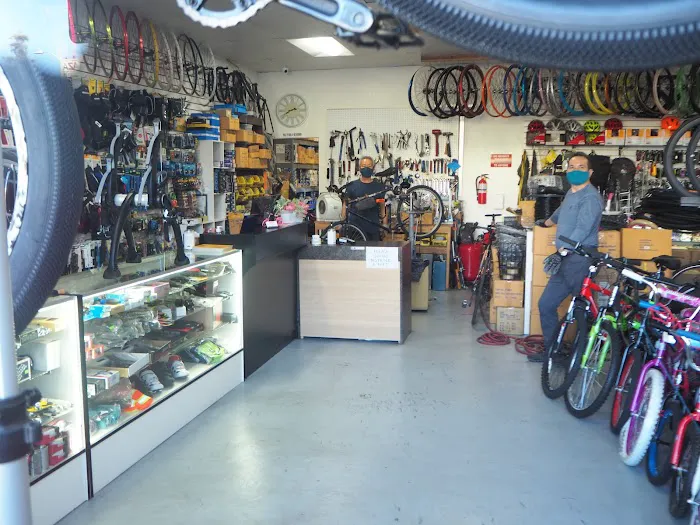 Express Bike Picture 1