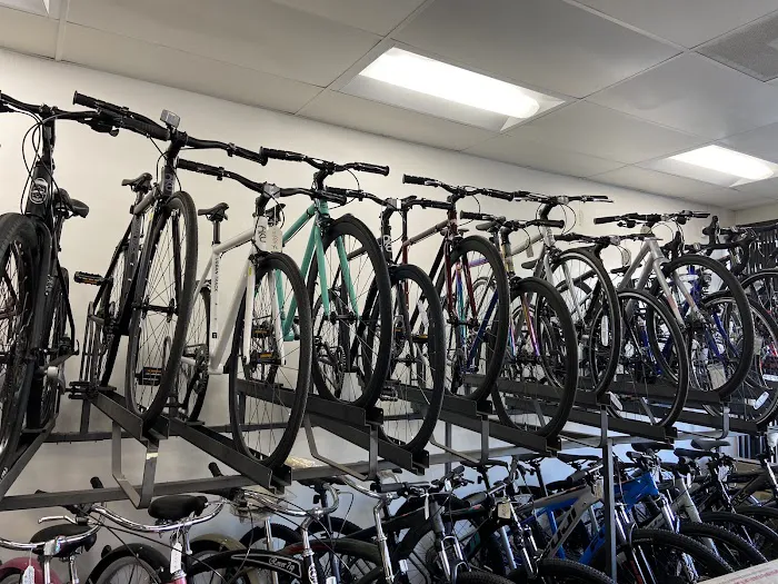 Express Bike Picture 3