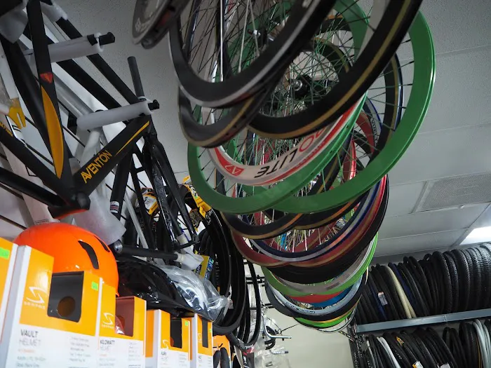 Express Bike Picture 7