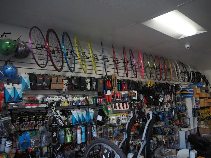 Express Bike Picture 8