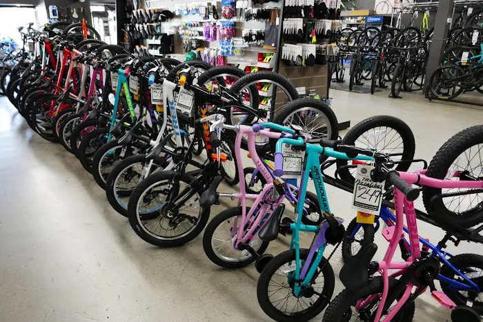 Trek Bicycle Beverly Hills Picture 9