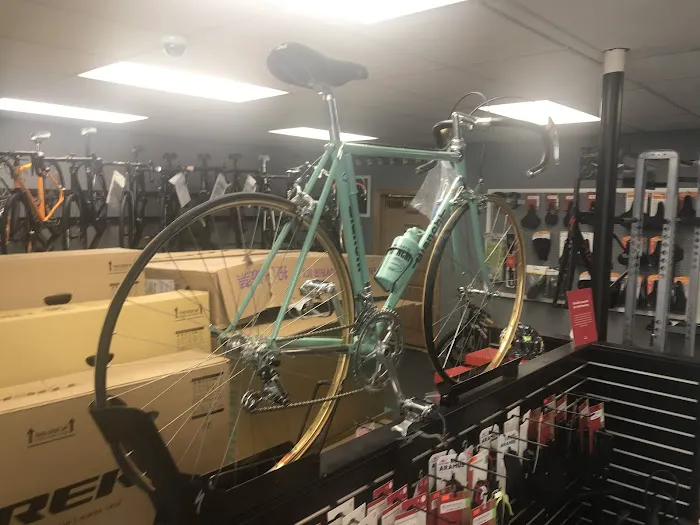 Beverly Hills Bike Shop Picture 6