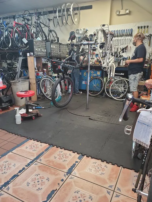 Raffis Bicycles Picture 1