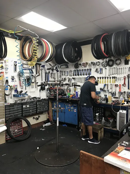 Raffis Bicycles Picture 9