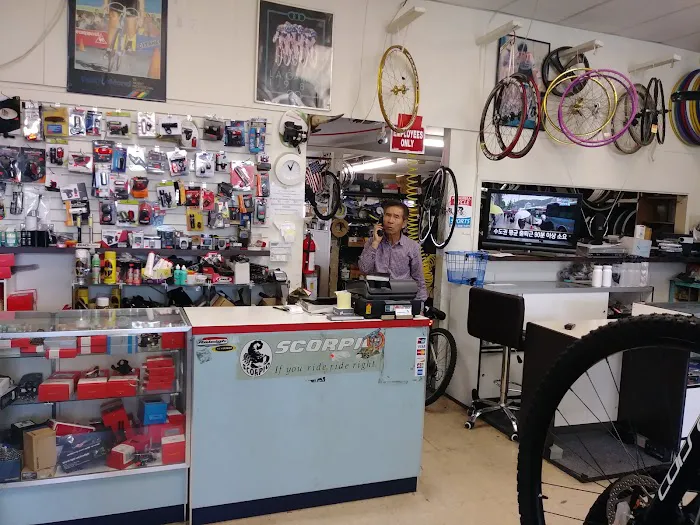 Alhambra Schwinn Picture 5